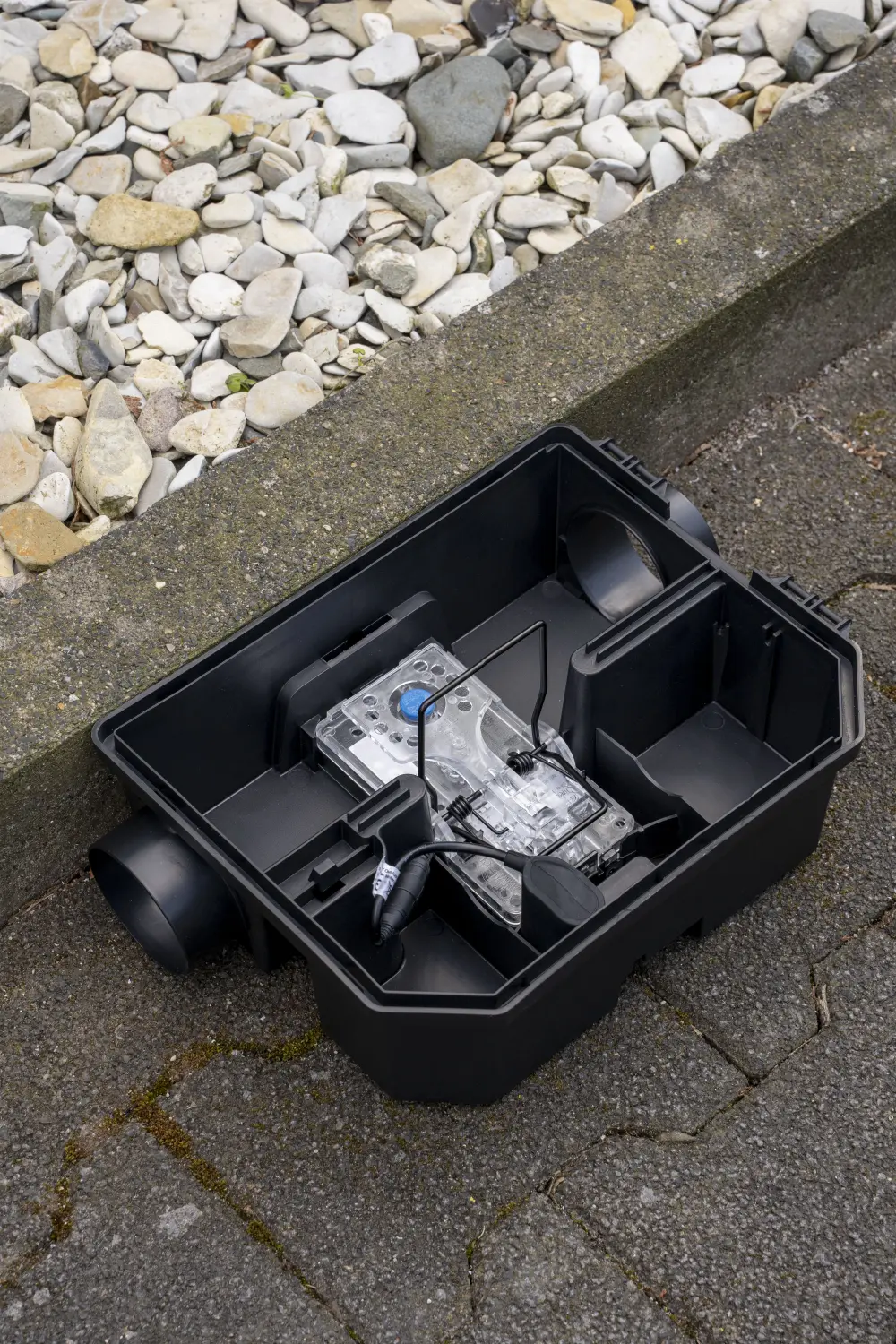 TubeTrap von Notox Schädlingsbekämpfung