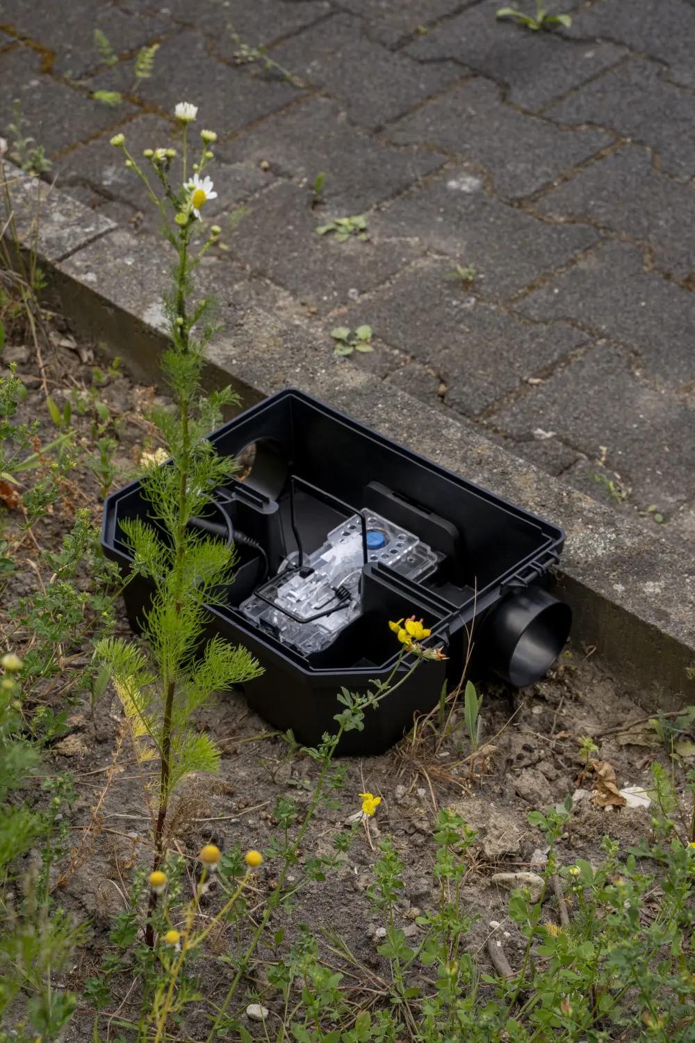 TubeTrap von Notox Schädlingsbekämpfung