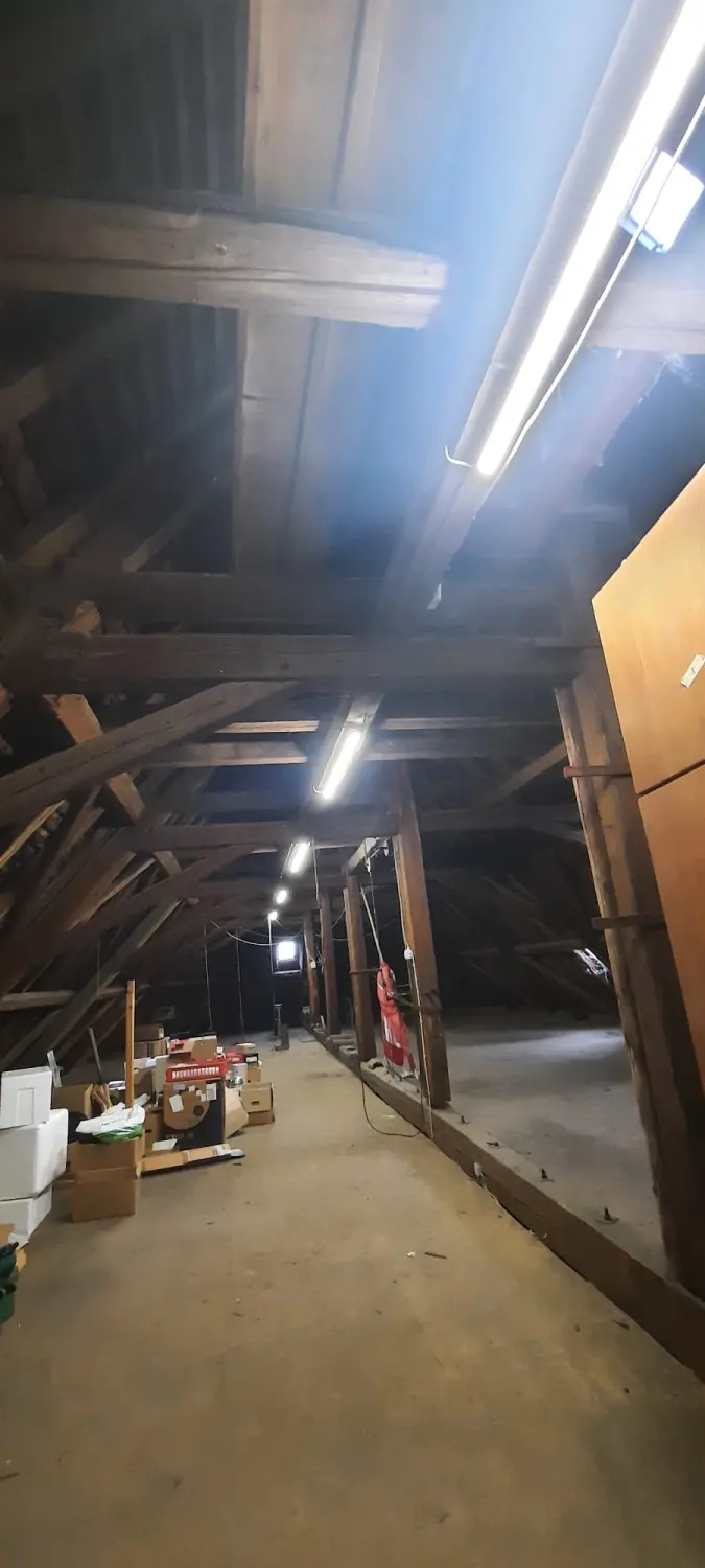 Holz- und Bautenschutz von Notox Schädlingsbekämpfung