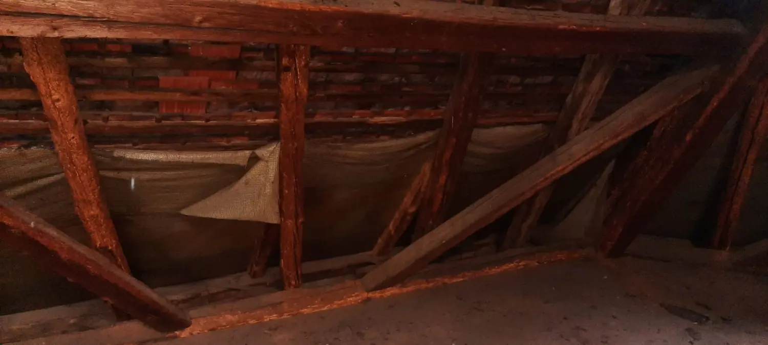 Holz- und Bautenschutz von Notox Schädlingsbekämpfung