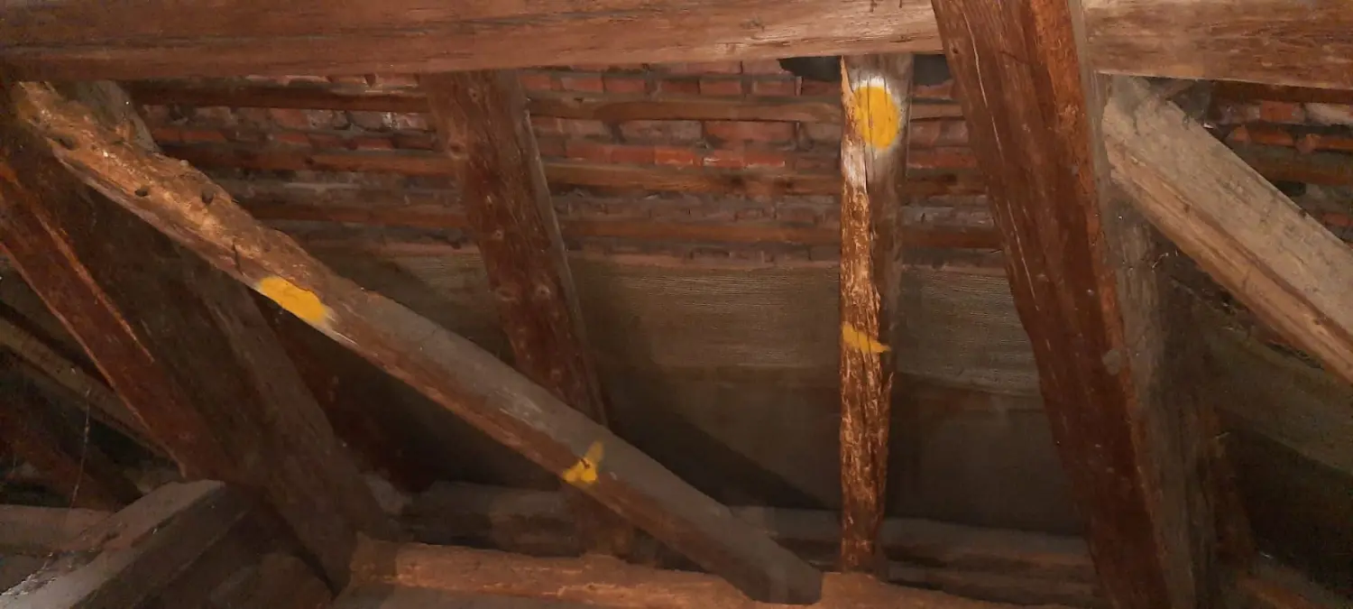 Holz- und Bautenschutz von Notox Schädlingsbekämpfung